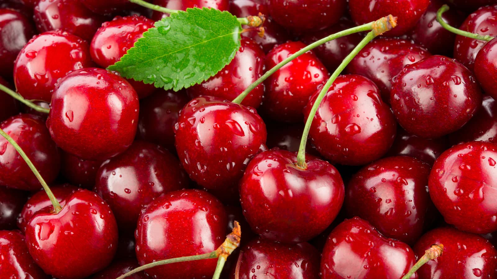 Terpene Cherry